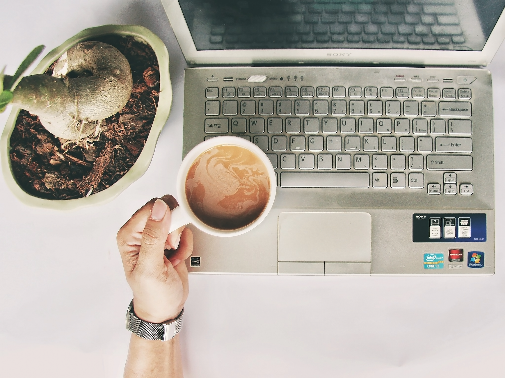 Gemütlicher Arbeitsplatz mit Laptop, Kaffeetasse und Zimmerpflanze.
